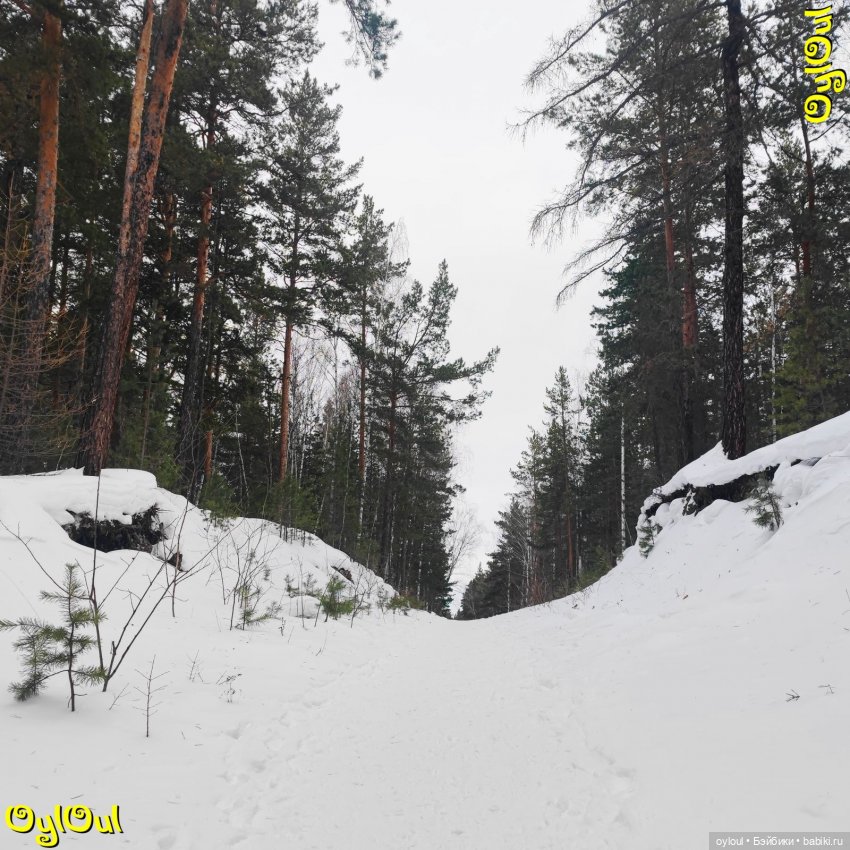 ⌠ 22 ⌡ Трасса «Лесная» | Бэйбики ⌠ 22 ⌡ Трасса «Лесная» — Кукольные фотоистории и сериалы: комиксы