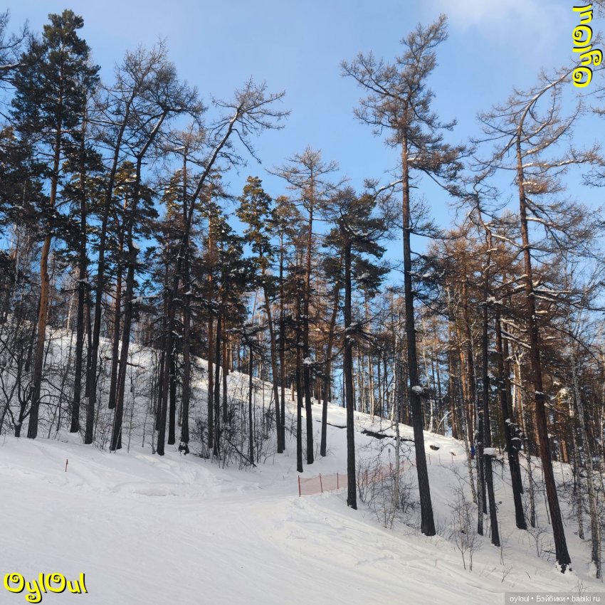 ⌠ 26 ⌡ Парное катание — Кукольные фотоистории и сериалы: комиксы (фото 3)