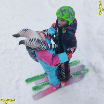 ⌠ 26 ⌡ Парное катание