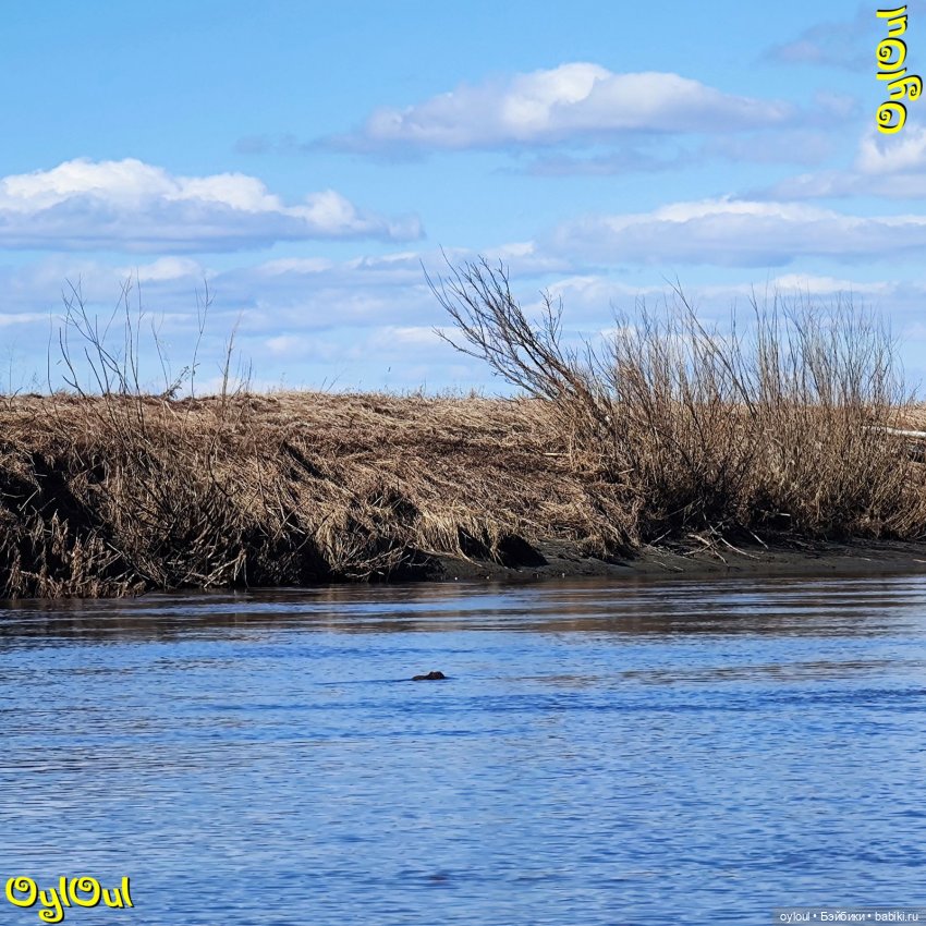 ⌠ 34 ⌡ Открытие сезона жидкой воды 2026 (фото 6)