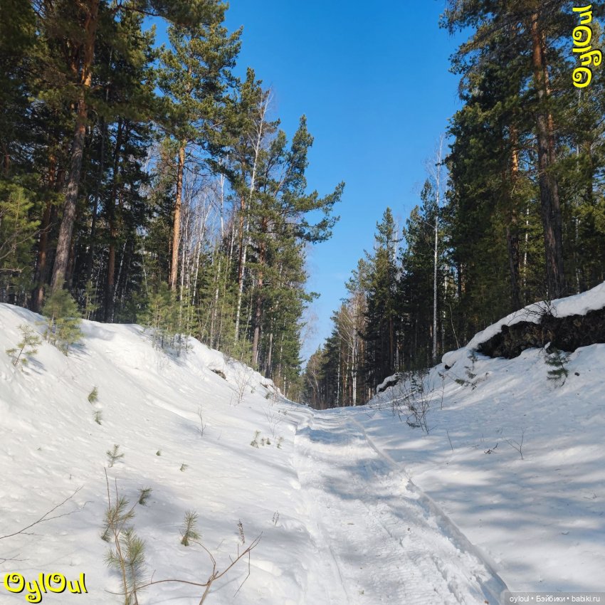 ⌠ 28 ⌡ Наследственные навыки