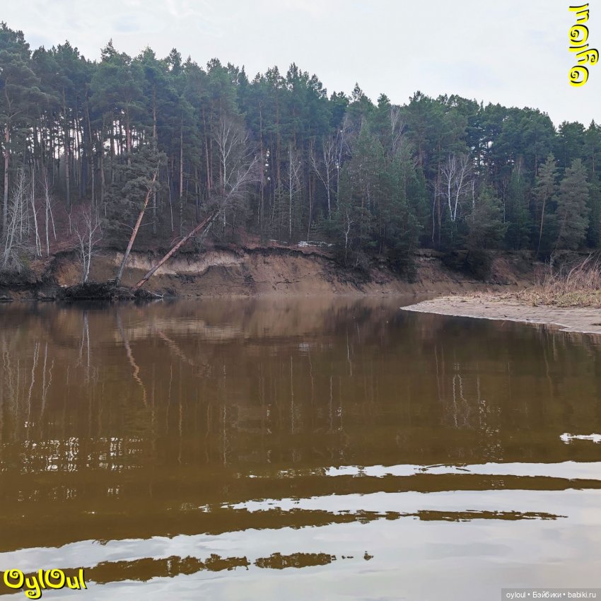 ⌠ 35 ⌡ Серо-бурая экспедиция (фото 3)