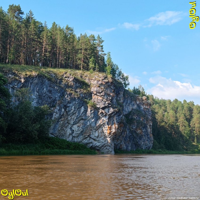 ⌠ 65 ⌡ Лось, заяц и две бабочки