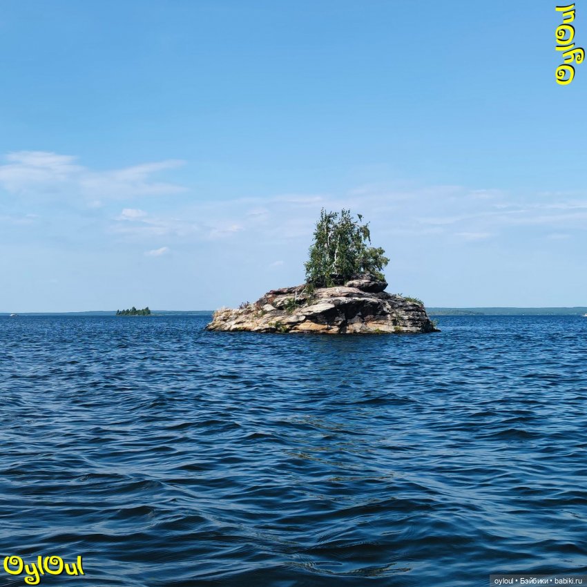 ⌠ 94 ⌡ А любовь к фламинго не проходит, нет