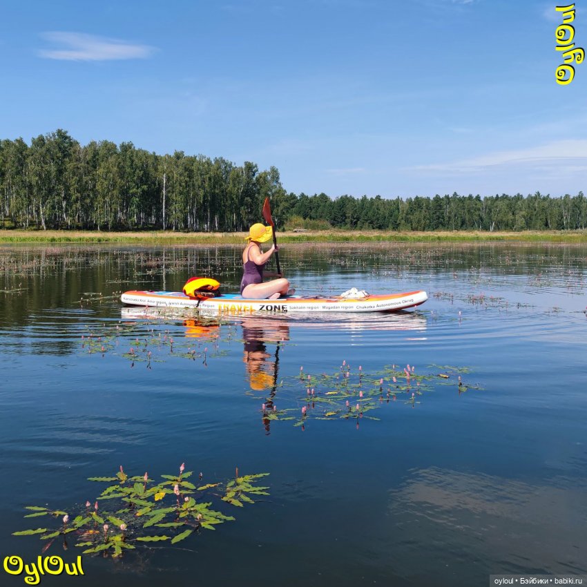 ⌠ 94 ⌡ А любовь к фламинго не проходит, нет (фото 5)