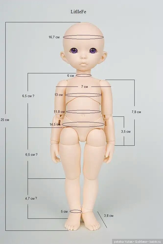 Тело пупса. Кукла БЖД минифи мерки. Литлфи кукла Размеры. Минифи Размеры куклы. Пукифи куклы размер.