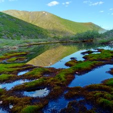 Куда уезжают куклы.Чукотка.Часть 2.