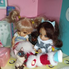 Невероятные приключения одного подарка