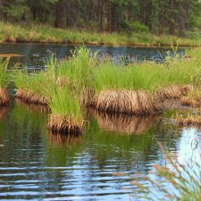 Куда уезжают куклы.Чукотка.Часть 3
