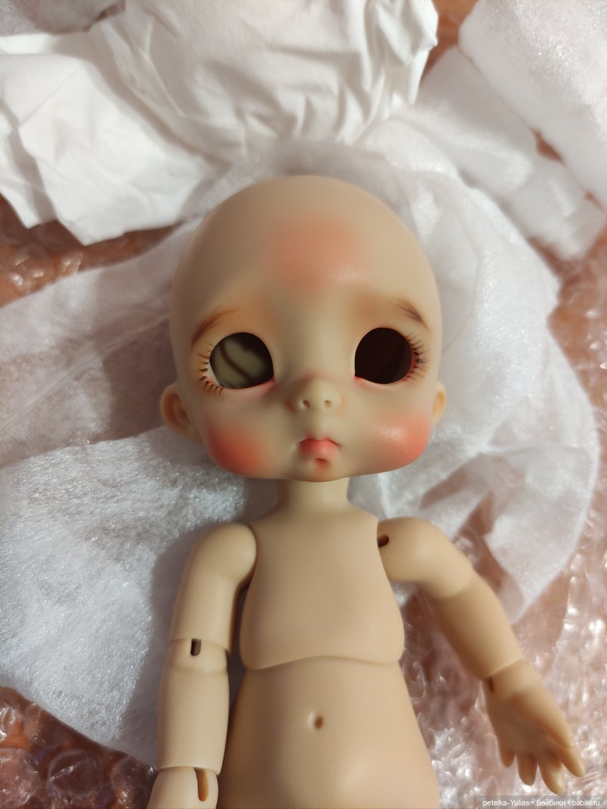 Ожидание длиною в год.Возвращение Пончика (фото 5)