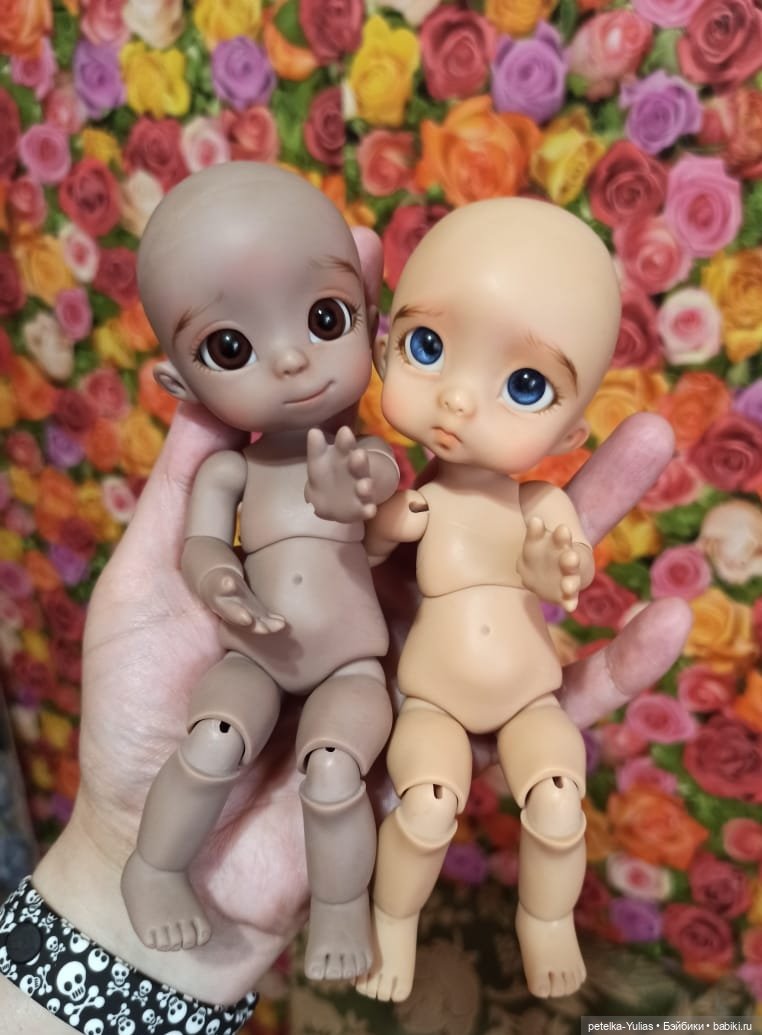 Ожидание длиною в год.Возвращение Пончика (фото 2)