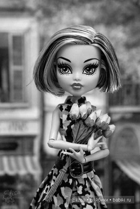 Monster High - совсем не монстры (фото 6)