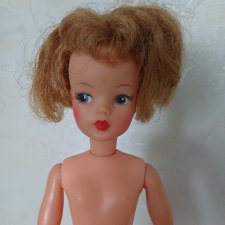 Тамми , Tammy, Ideal