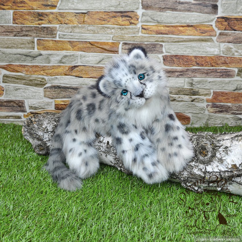 Кошачий долгострой (много фото)