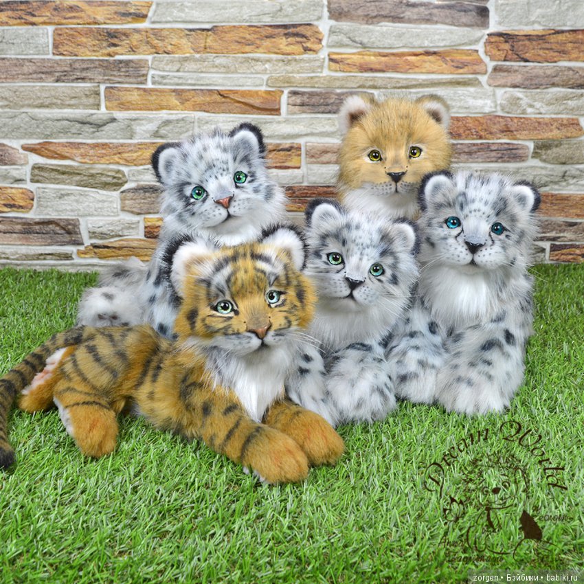 Кошачий долгострой (много фото)