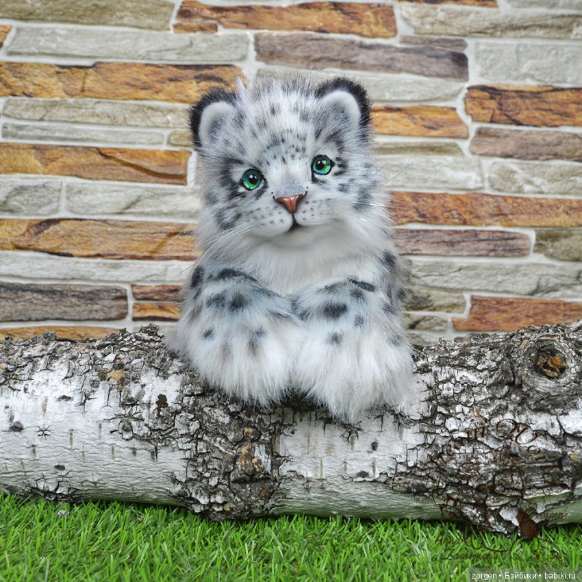 Кошачий долгострой (много фото) (фото 8)
