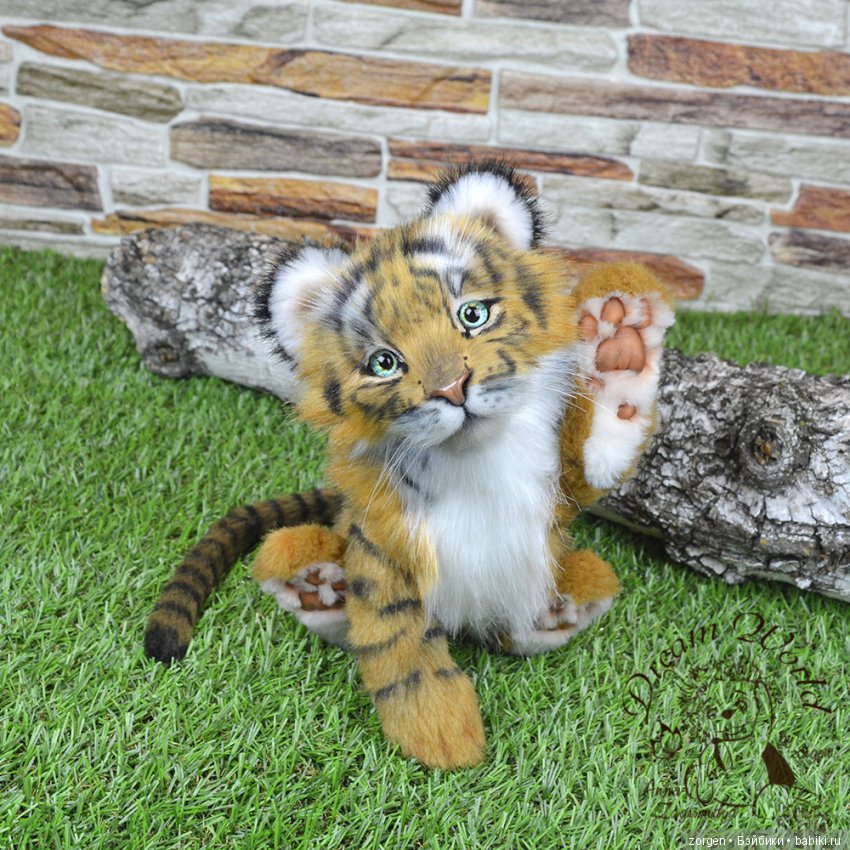 Кошачий долгострой (много фото)