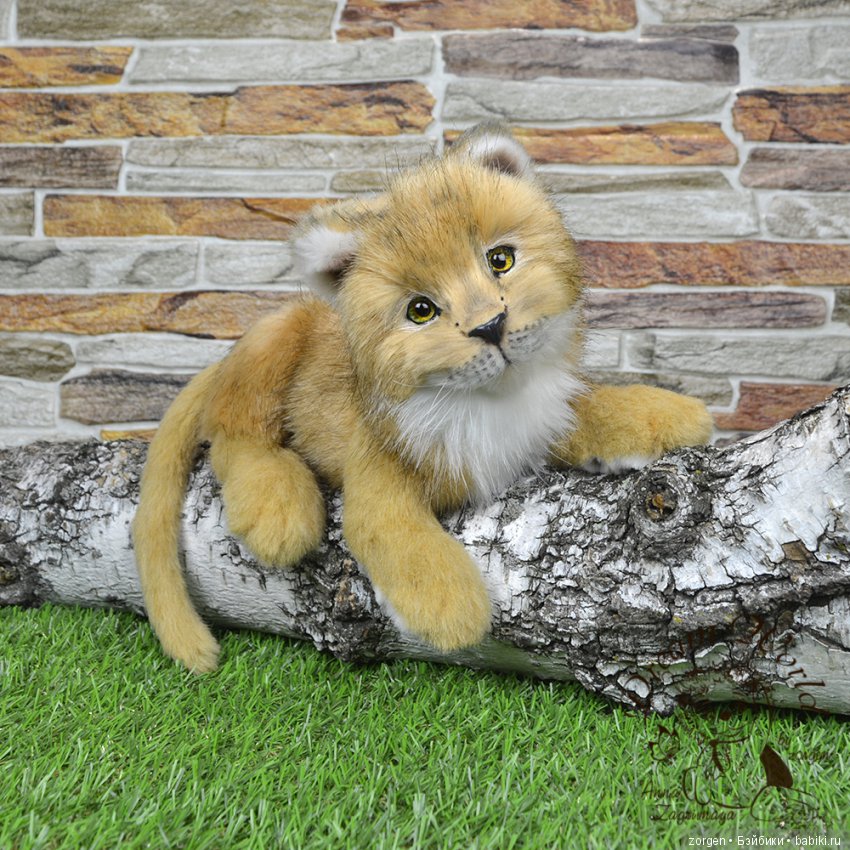 Кошачий долгострой (много фото)