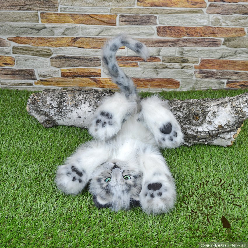 Кошачий долгострой (много фото) (фото 6)