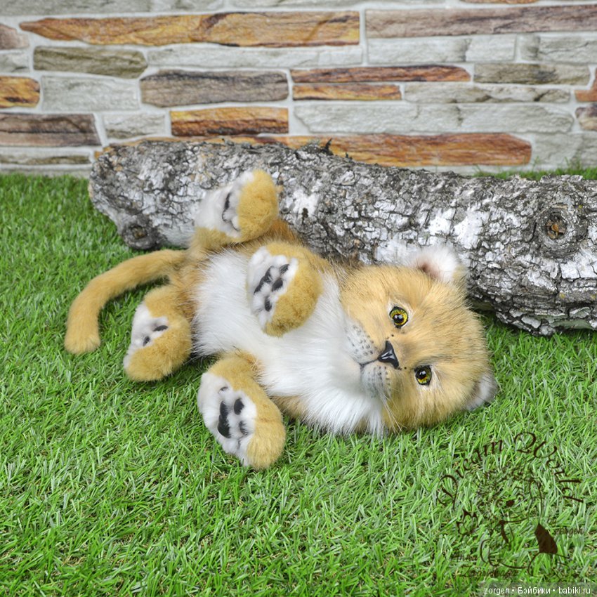 Кошачий долгострой (много фото)