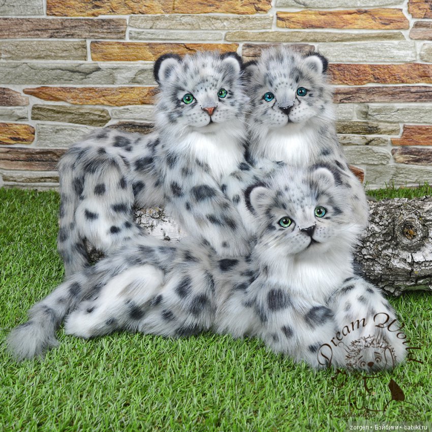 Кошачий долгострой (много фото) (фото 2)