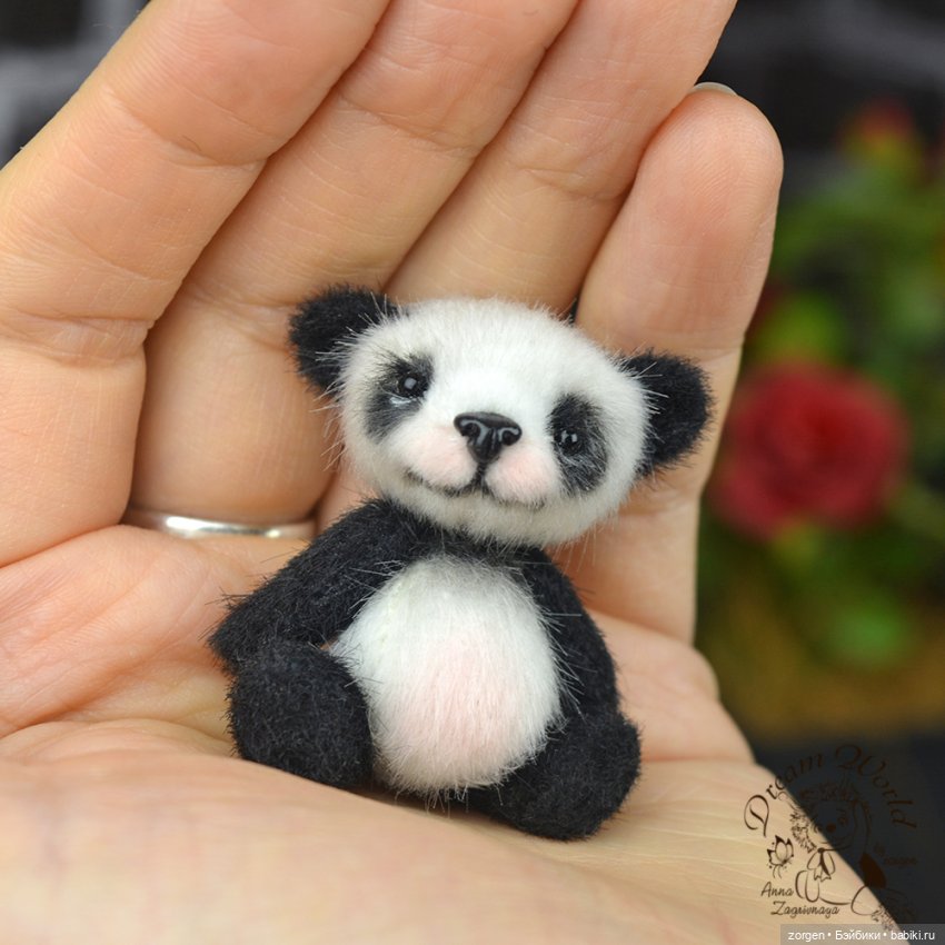 Новые малыши (много фото) (фото 5)