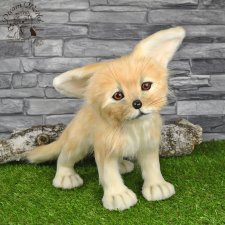 Малыш фенек