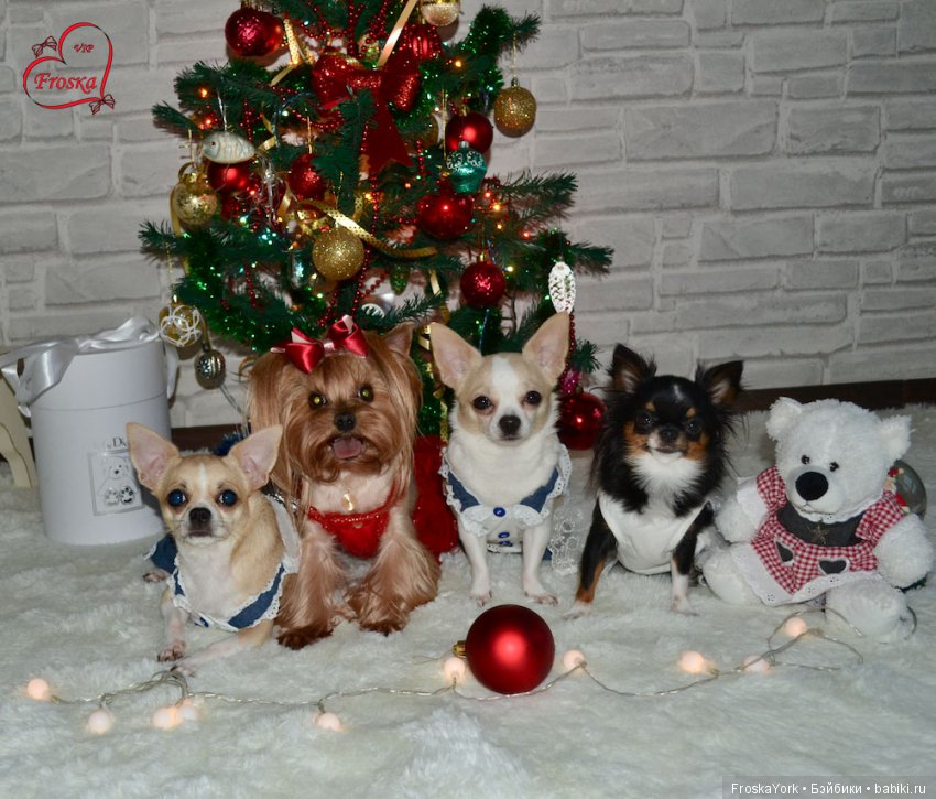 Дети и бабушкина ёлочка — Домашние коллекции кукол: фото собраний