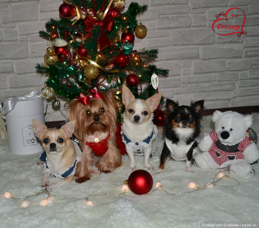 Дети и бабушкина ёлочка — Домашние коллекции кукол: фото собраний (фото 5)