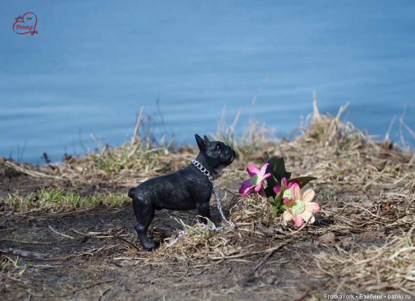 Весенняя прогулка с Василиской
