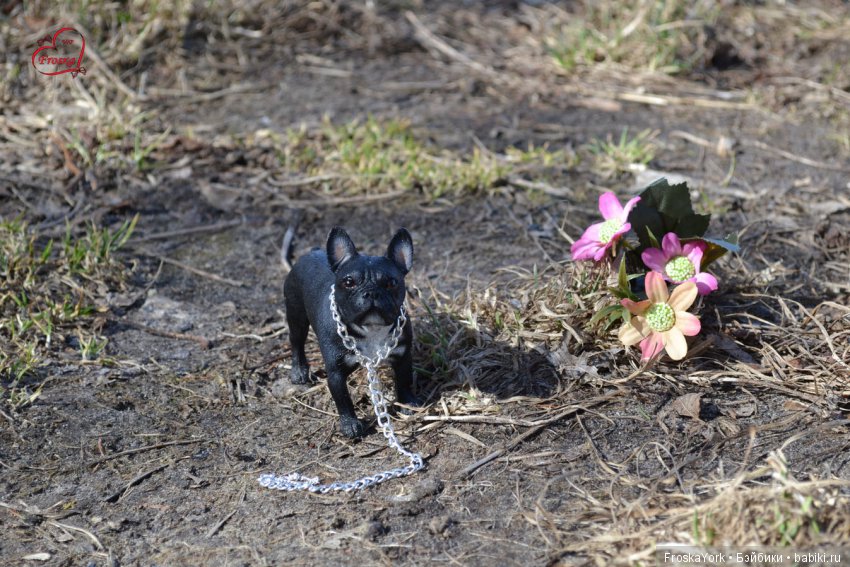 Весенняя прогулка с Василиской (фото 9)