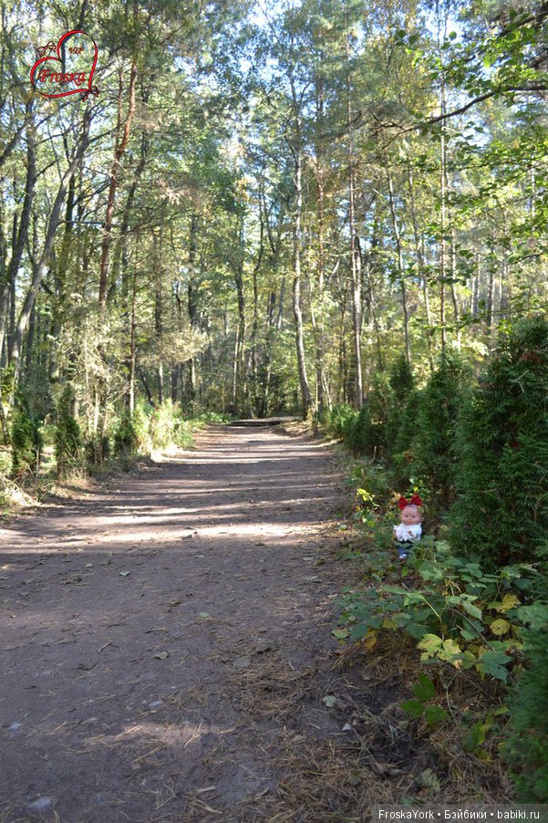 Как отдыхают маленькие пупсики, или Масянина осень (фото 3)