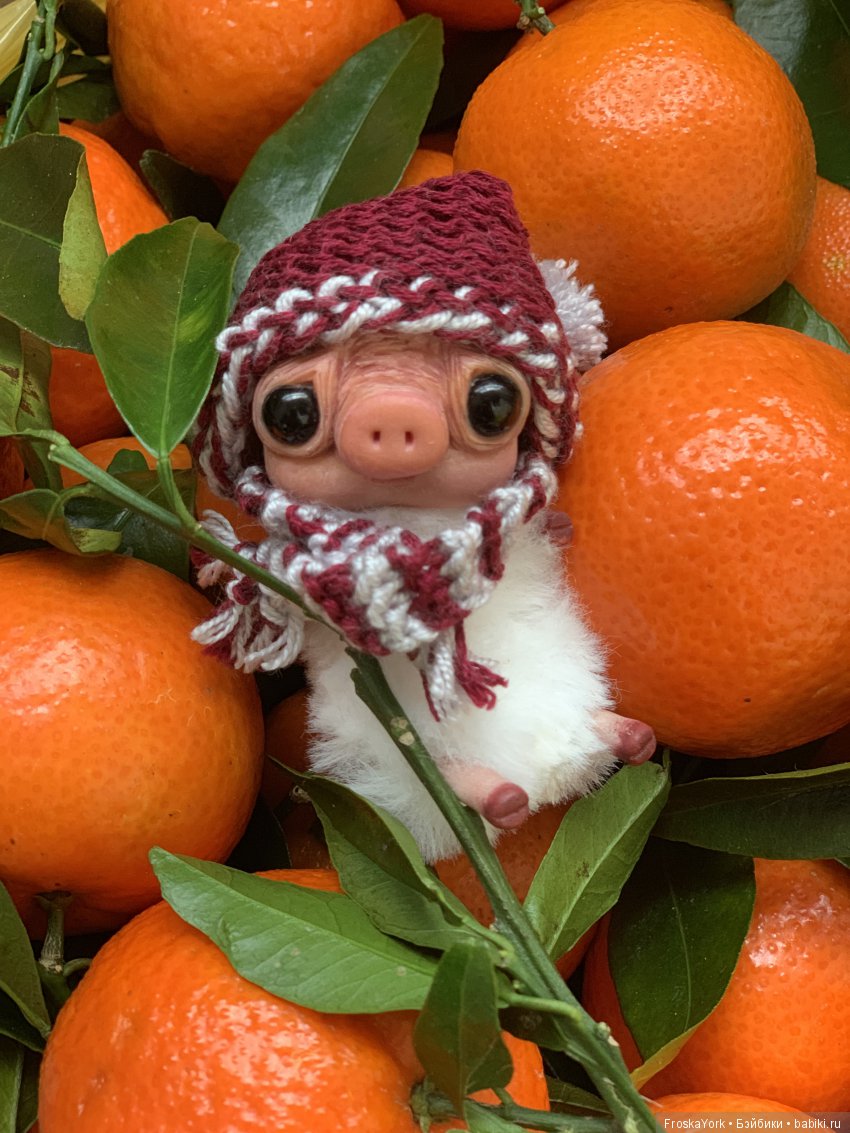 Встречаем Софтичку - наш талисман наступающего года*или моя старшая группа 2018 (фото 8)