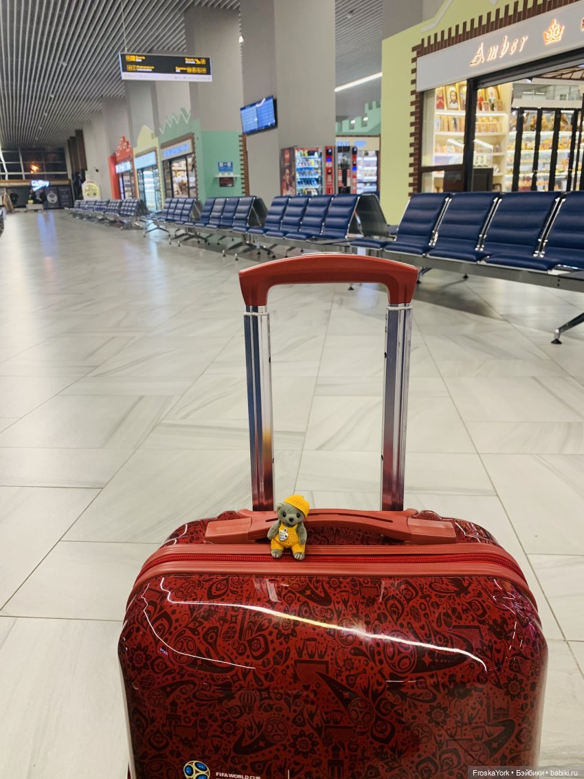 "Варежка" и Генрих-приезд домой (фото 3)