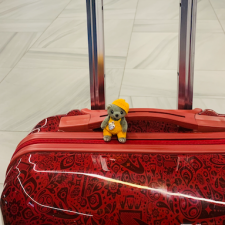 "Варежка" и Генрих-приезд домой