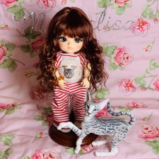 Алиска и кот