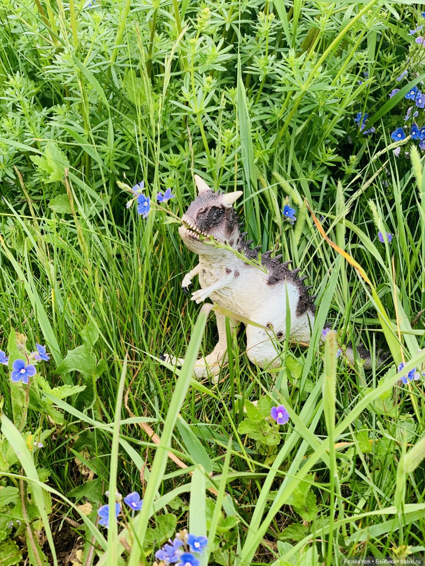 Вот как бывает... Наш Марк