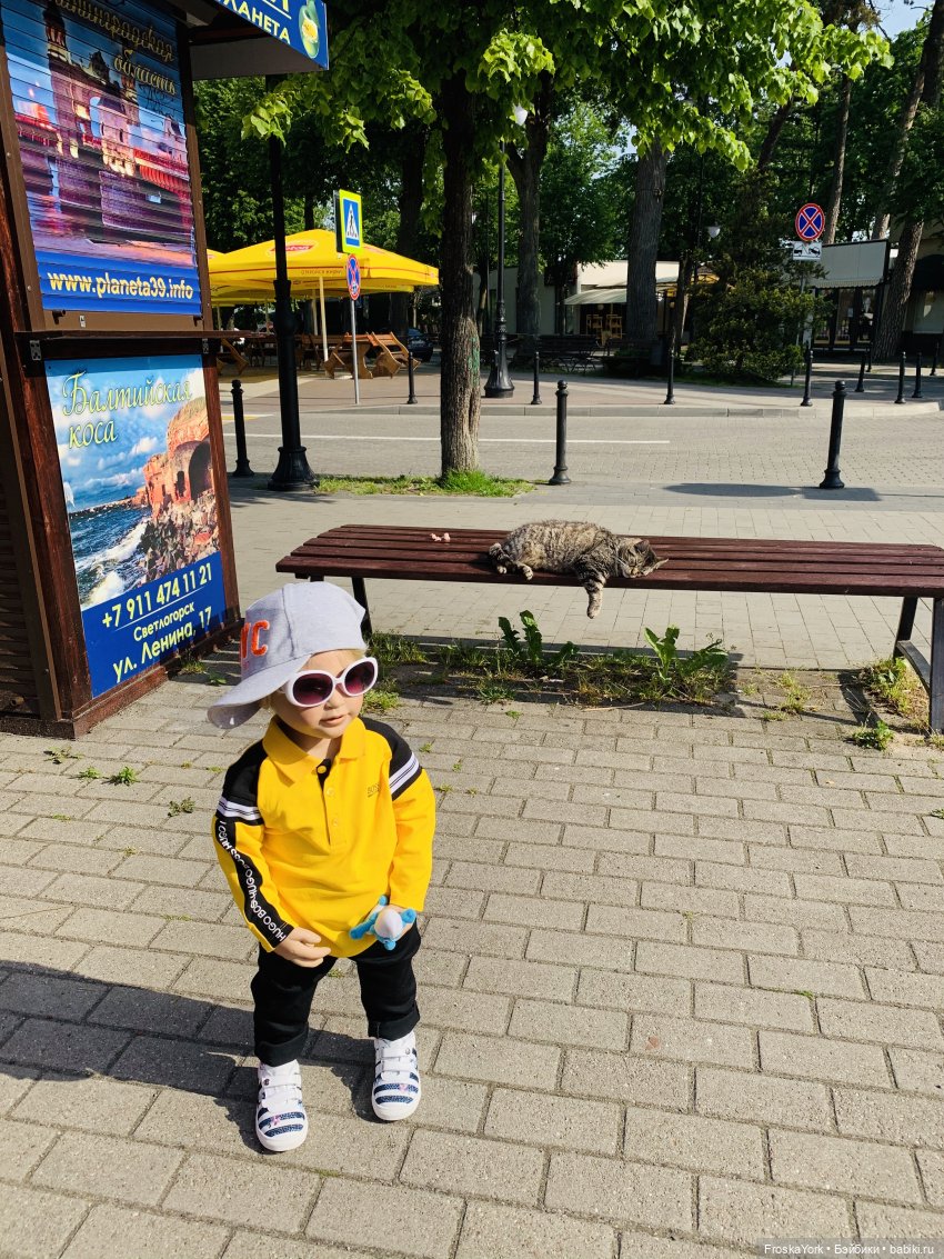 Купи ребёнку самокат-и со спокойной жизнью можно проститься. Первое лето Марка (фото 10)