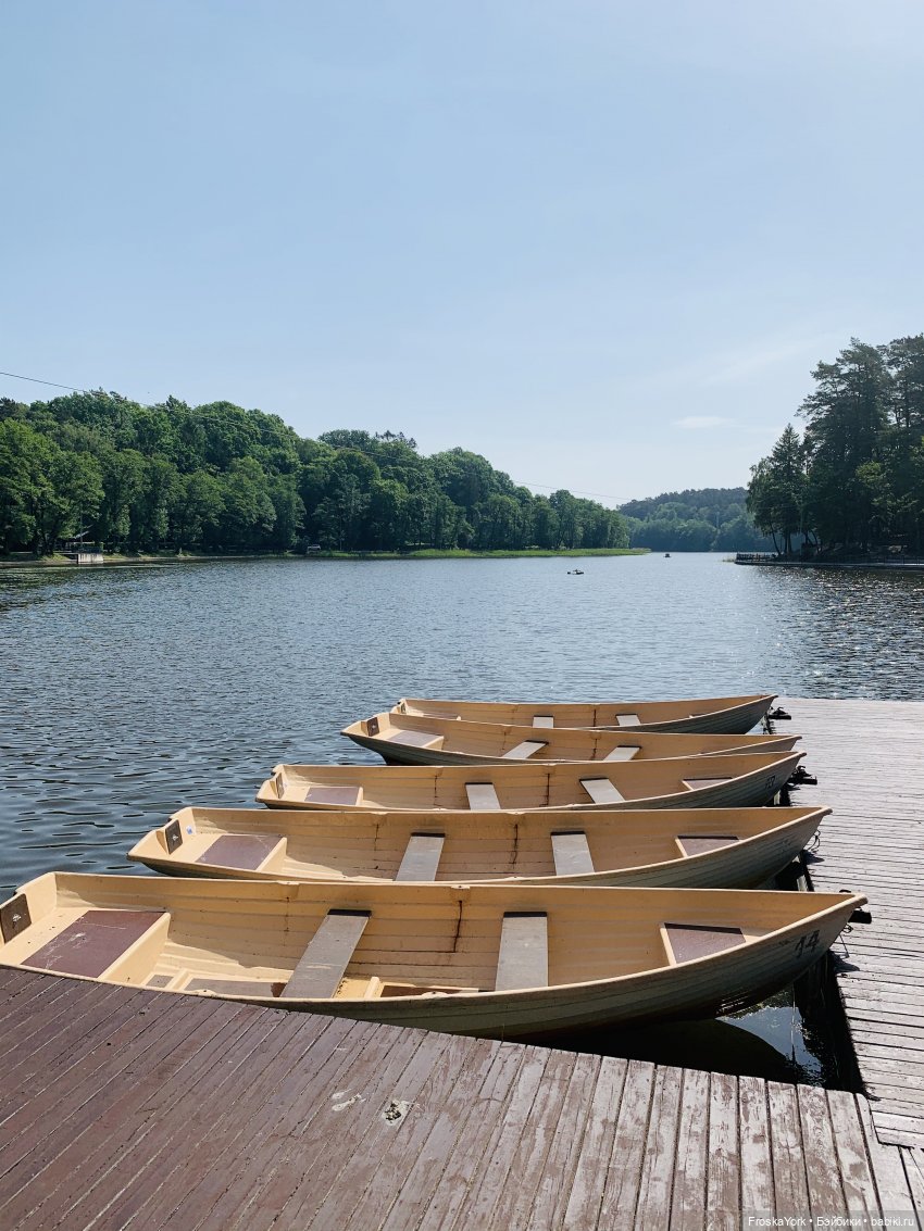 Купи ребёнку самокат-и со спокойной жизнью можно проститься. Первое лето Марка
