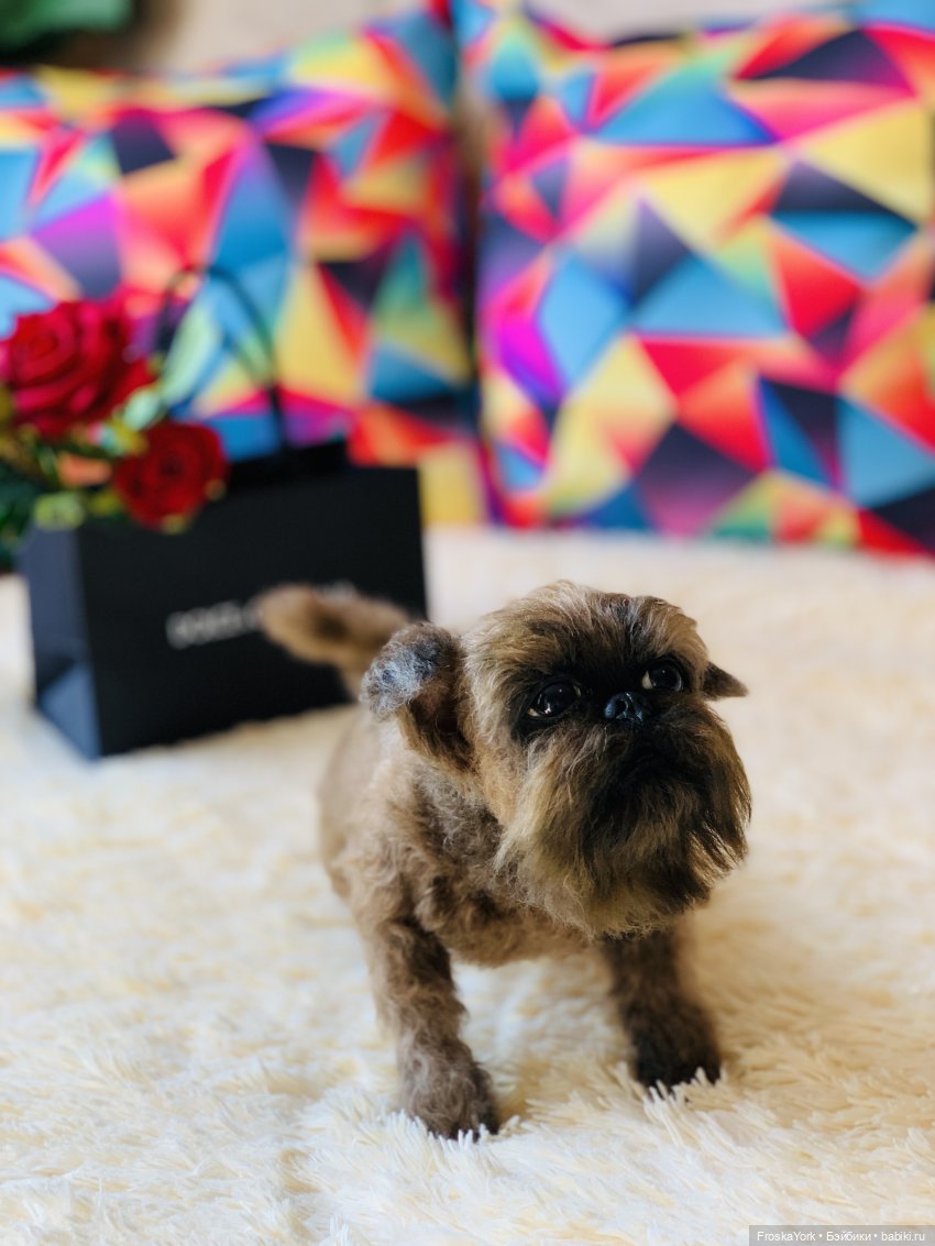 Лолочка💖🐶 — Домашние фото авторских игрушек: Тедди (фото 3)