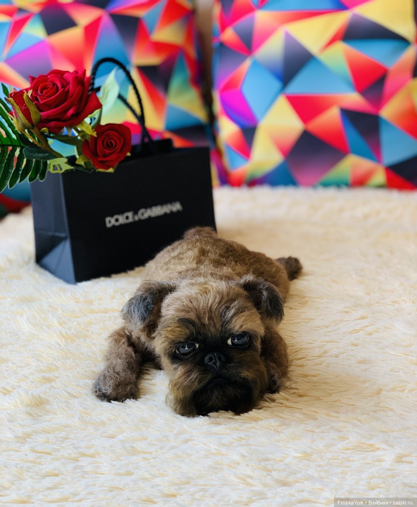 Лолочка💖🐶 — Домашние фото авторских игрушек: Тедди (фото 7)