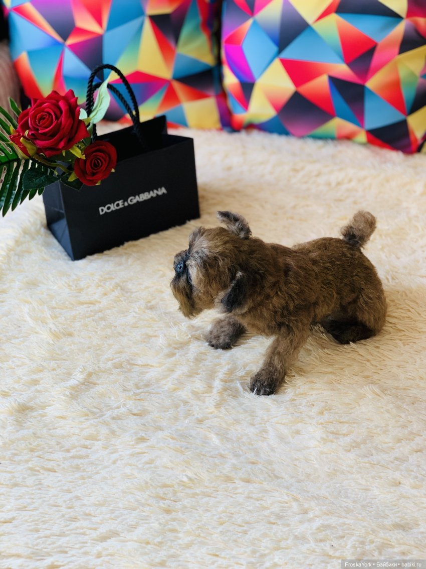 Лолочка💖🐶 — Домашние фото авторских игрушек: Тедди (фото 9)