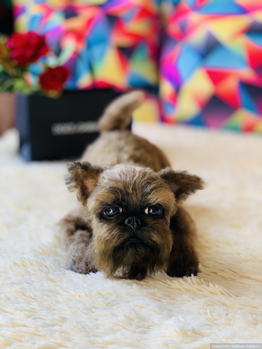 Лолочка💖🐶 — Домашние фото авторских игрушек: Тедди (фото 2)