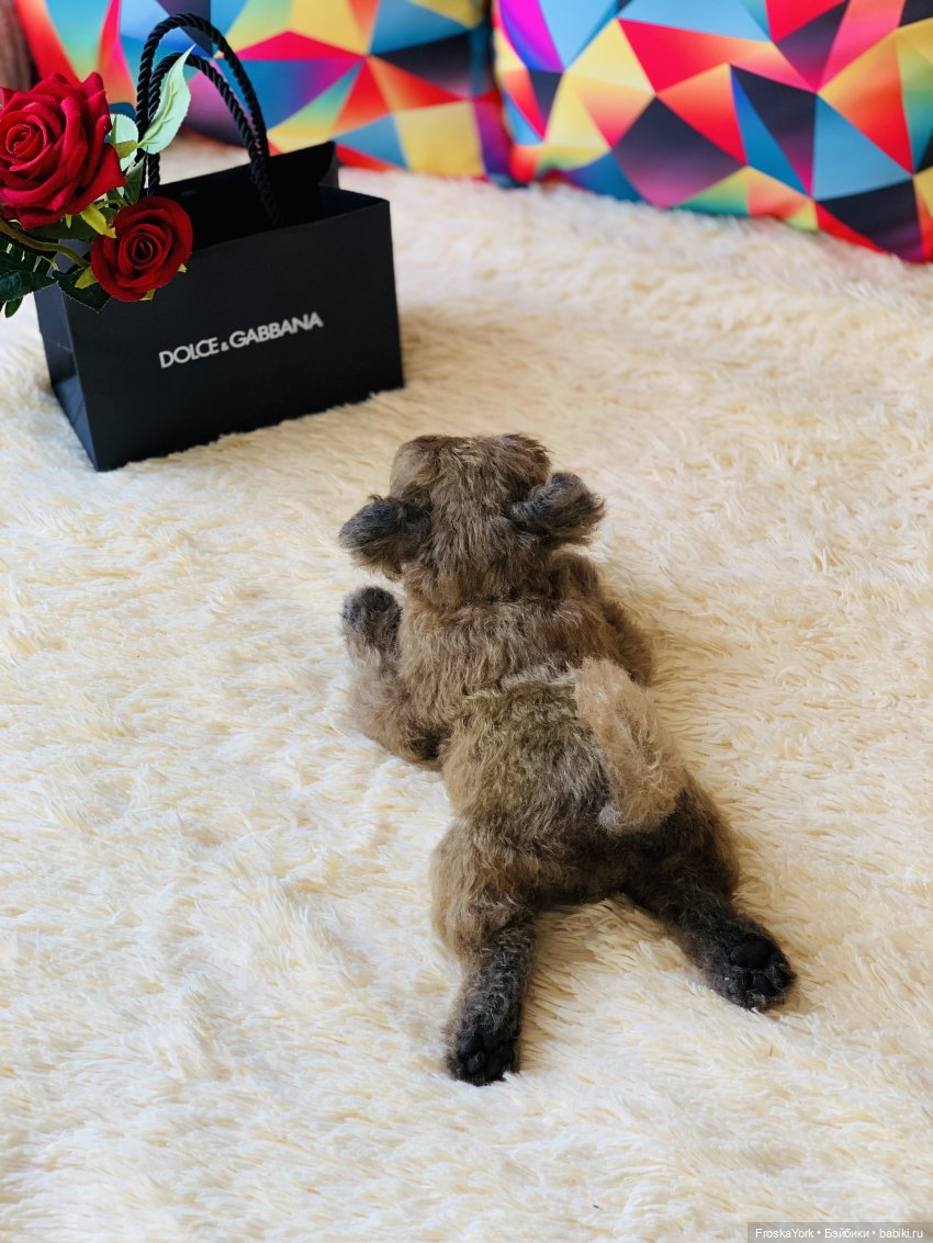 Лолочка💖🐶 — Домашние фото авторских игрушек: Тедди (фото 8)