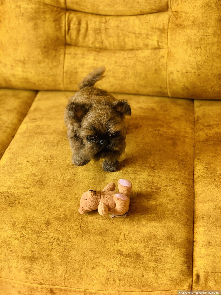 Моя диванная собачка😊💝 — Домашние фото авторских игрушек: Тедди (фото 2)