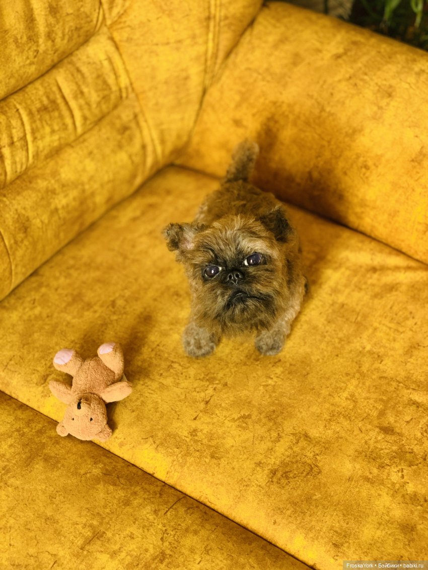 Моя диванная собачка😊💝 — Домашние фото авторских игрушек: Тедди (фото 6)