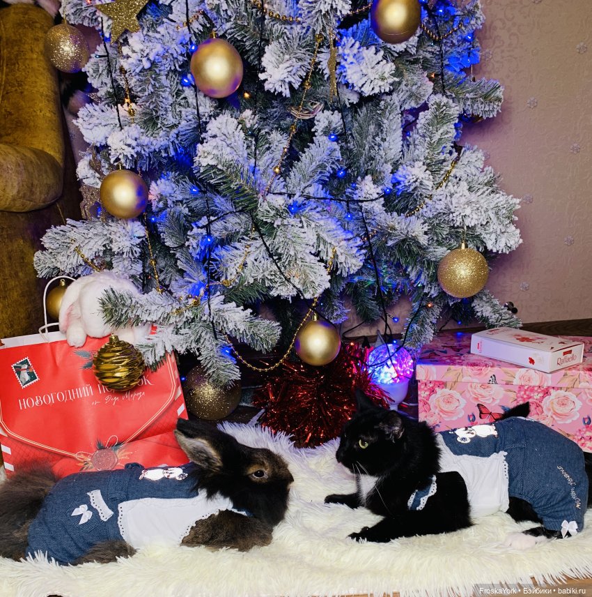 Как мы ёлки наряжали🎄🥰💃 Или С Наступающим Вас Новым 2023 Годом!🎄🥂🥰