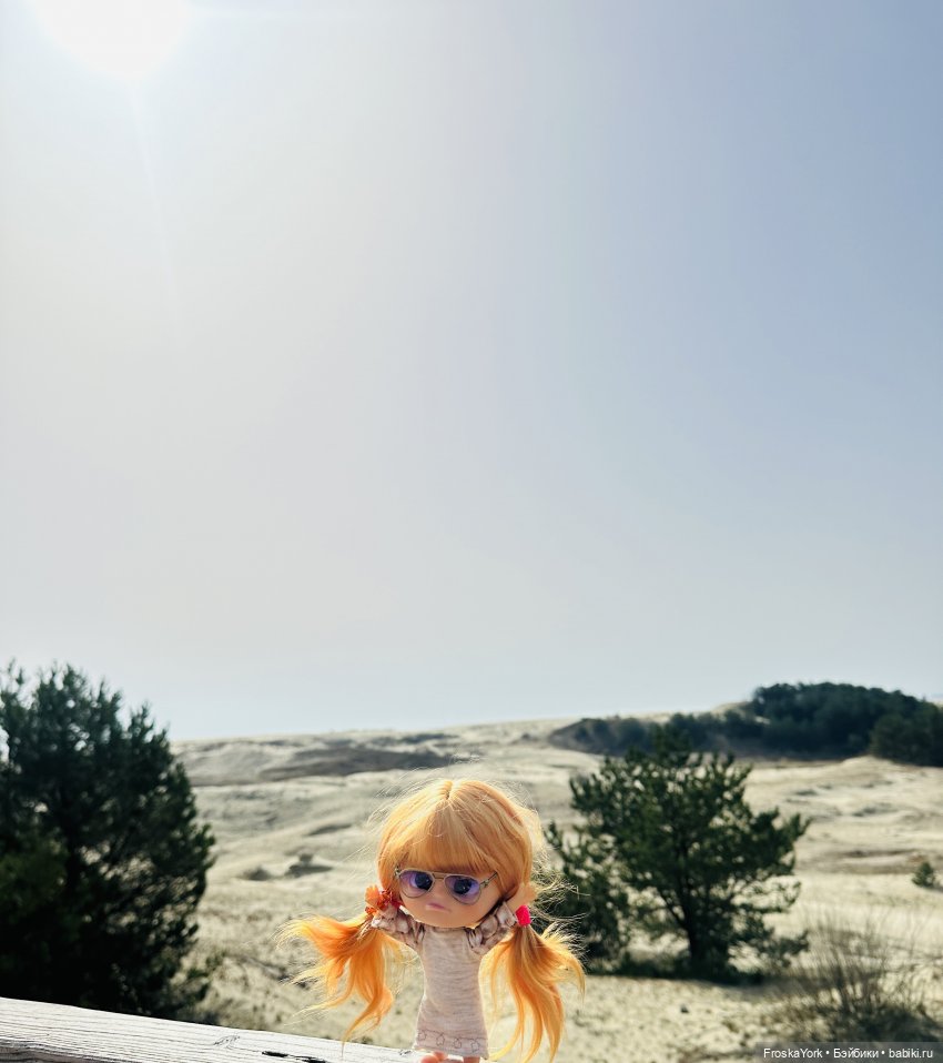 Как Пуговка кота своего выгуливала