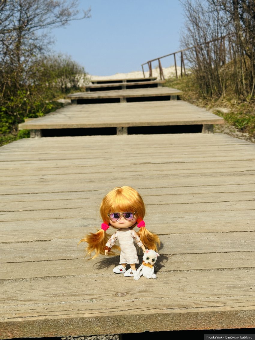 Как Пуговка кота своего выгуливала