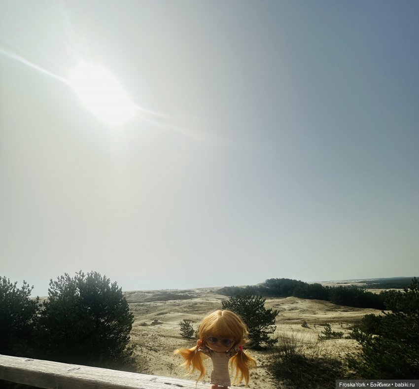 Как Пуговка кота своего выгуливала